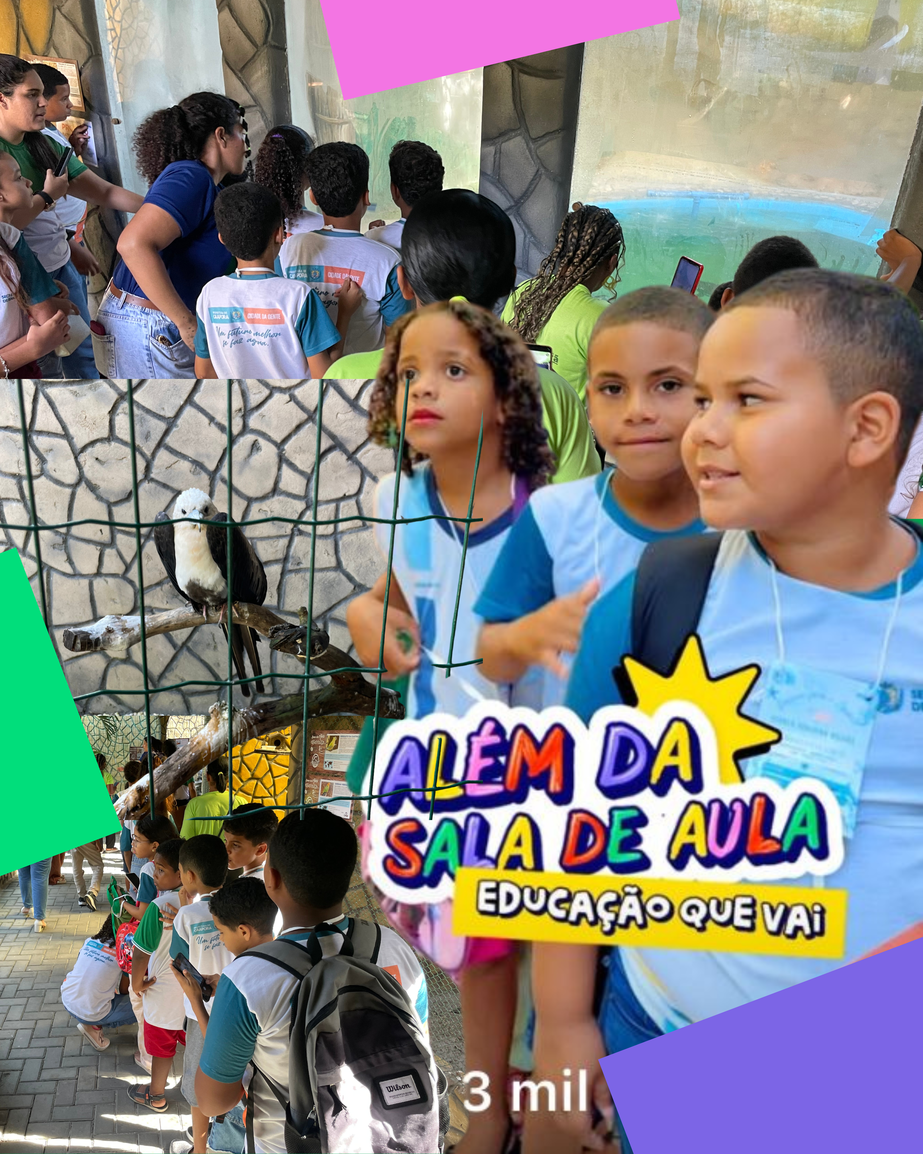 Alunos da Escola Severina Helena participam de visita educativa ao Aquário Paraíba