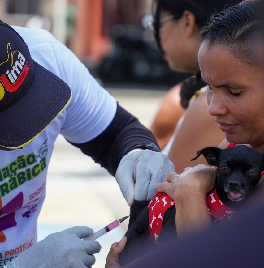 Caaporã realiza Dia D da Vacinação Antirrábica para cães e gatos